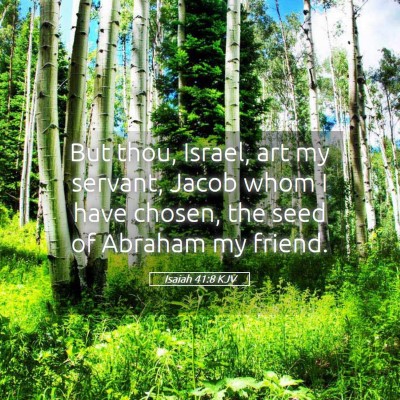 Picture 05 - Isaiah 41:8 KJV - But thou, Israel, art my servant, Jacob whom I - Bible Verse Picture