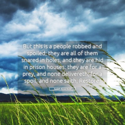 Picture 05 - Isaiah 42:22 KJV - But this is a people robbed and spoiled; they are - Bible Verse Picture