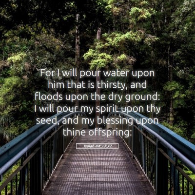 Picture 05 - Isaiah 44:3 KJV - For I will pour water upon him that is thirsty, - Bible Verse Picture