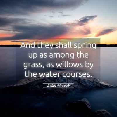 Picture 05 - Isaiah 44:4 KJV - And they shall spring up as among the grass, as - Bible Verse Picture