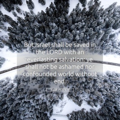 Picture 05 - Isaiah 45:17 KJV - But Israel shall be saved in the LORD with an - Bible Verse Picture