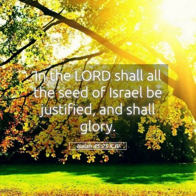 Picture 05 - Isaiah 45:25 KJV - In the LORD shall all the seed of Israel be - Bible Verse Picture
