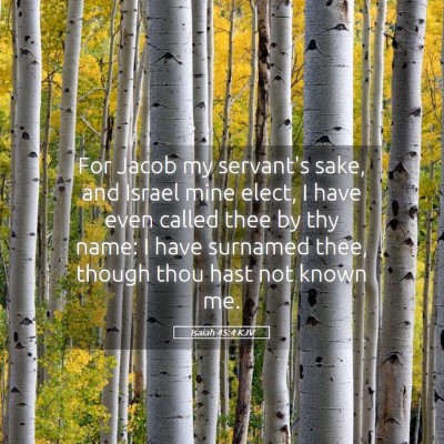 Picture 05 - Isaiah 45:4 KJV - For Jacob my servant's sake, and Israel mine - Bible Verse Picture