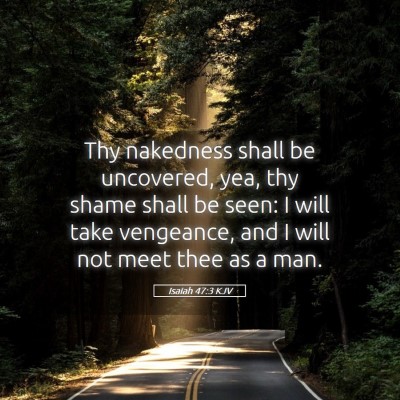 Picture 05 - Isaiah 47:3 KJV - Thy nakedness shall be uncovered, yea, thy shame - Bible Verse Picture