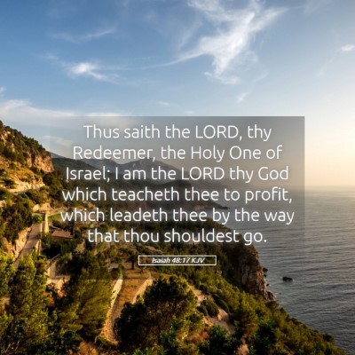 Picture 05 - Isaiah 48:17 KJV - Thus saith the LORD, thy Redeemer, the Holy One - Bible Verse Picture
