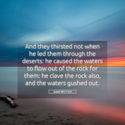 Picture 05 - Isaiah 48:21 KJV - And they thirsted not when he led them through - Bible Verse Picture