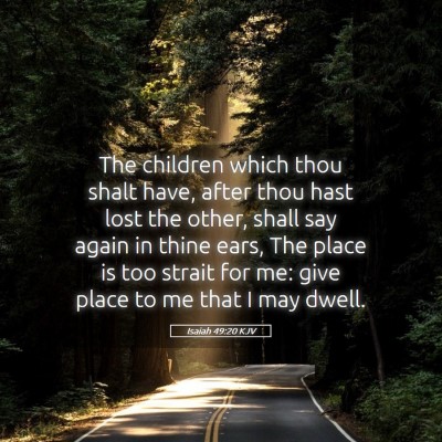 Picture 05 - Isaiah 49:20 KJV - The children which thou shalt have, after thou - Bible Verse Picture