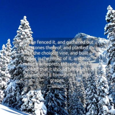 Picture 05 - Isaiah 5:2 KJV - And he fenced it, and gathered out the stones - Bible Verse Picture