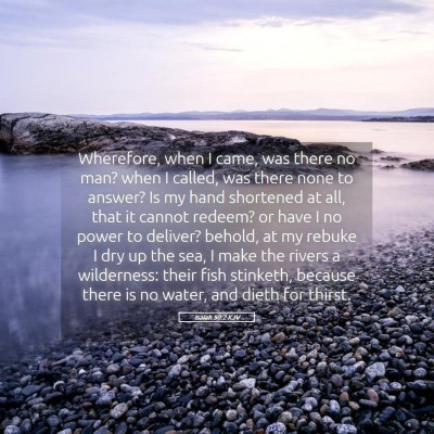 Picture 05 - Isaiah 50:2 KJV - Wherefore, when I came, was there no man? when I - Bible Verse Picture