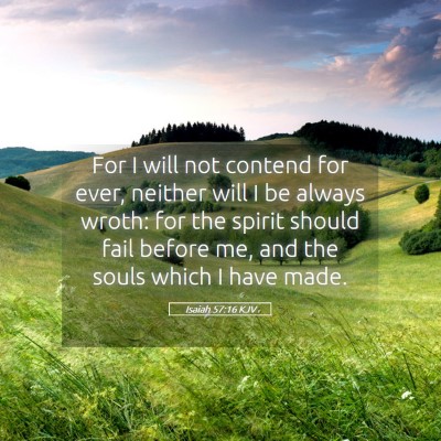 Picture 05 - Isaiah 57:16 KJV - For I will not contend for ever, neither will I - Bible Verse Picture