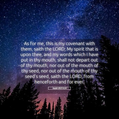 Picture 05 - Isaiah 59:21 KJV - As for me, this is my covenant with them, saith - Bible Verse Picture