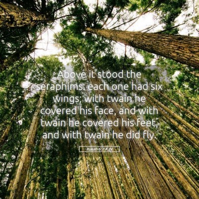 Picture 05 - Isaiah 6:2 KJV - Above it stood the seraphims: each one had six - Bible Verse Picture