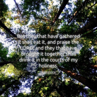 Picture 05 - Isaiah 62:9 KJV - But they that have gathered it shall eat it, and - Bible Verse Picture
