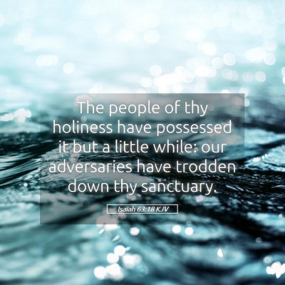 Picture 05 - Isaiah 63:18 KJV - The people of thy holiness have possessed it but - Bible Verse Picture