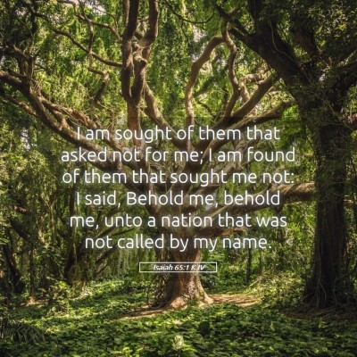 Picture 05 - Isaiah 65:1 KJV - I am sought of them that asked not for me; I am - Bible Verse Picture