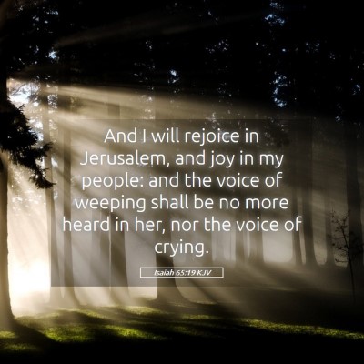 Picture 05 - Isaiah 65:19 KJV - And I will rejoice in Jerusalem, and joy in my - Bible Verse Picture