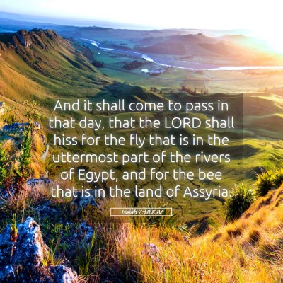 Picture 05 - Isaiah 7:18 KJV - And it shall come to pass in that day, that the - Bible Verse Picture