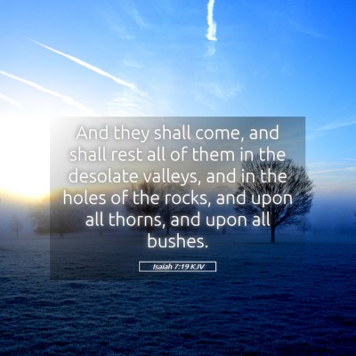 Picture 05 - Isaiah 7:19 KJV - And they shall come, and shall rest all of them - Bible Verse Picture