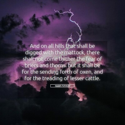 Picture 05 - Isaiah 7:25 KJV - And on all hills that shall be digged with the - Bible Verse Picture