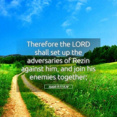 Picture 05 - Isaiah 9:11 KJV - Therefore the LORD shall set up the adversaries - Bible Verse Picture
