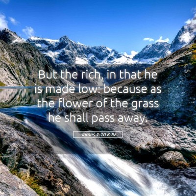 Picture 05 - James 1:10 KJV - But the rich, in that he is made low: because as - Bible Verse Picture