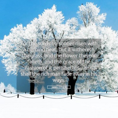 Picture 05 - James 1:11 KJV - For the sun is no sooner risen with a burning - Bible Verse Picture