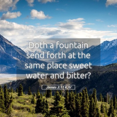 Picture 05 - James 3:11 KJV - Doth a fountain send forth at the same place - Bible Verse Picture