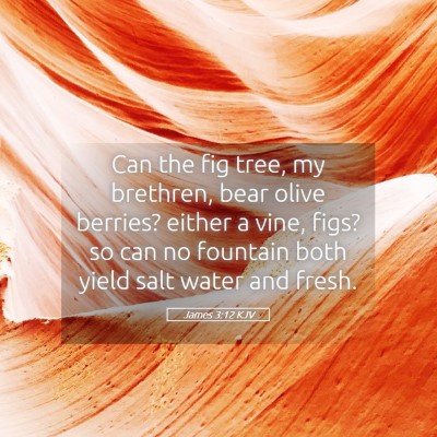 Picture 05 - James 3:12 KJV - Can the fig tree, my brethren, bear olive - Bible Verse Picture