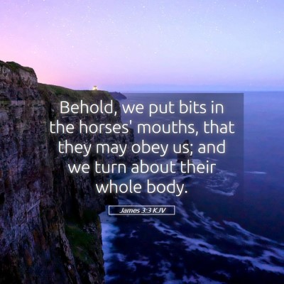 Picture 05 - James 3:3 KJV - Behold, we put bits in the horses' mouths, that - Bible Verse Picture