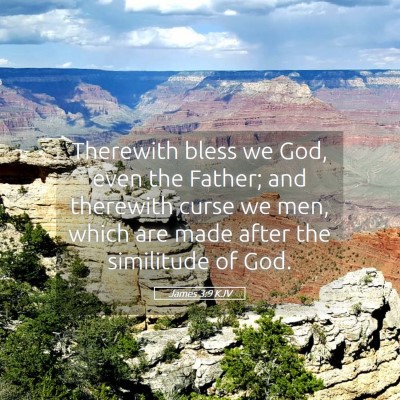 Picture 05 - James 3:9 KJV - Therewith bless we God, even the Father; and - Bible Verse Picture