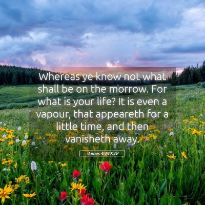 Picture 05 - James 4:14 KJV - Whereas ye know not what shall be on the morrow. - Bible Verse Picture