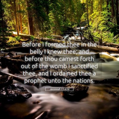 Picture 05 - Jeremiah 1:5 KJV - Before I formed thee in the belly I knew thee; - Bible Verse Picture