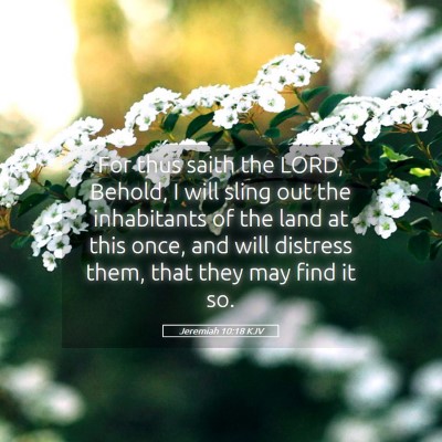 Picture 05 - Jeremiah 10:18 KJV - For thus saith the LORD, Behold, I will sling out - Bible Verse Picture