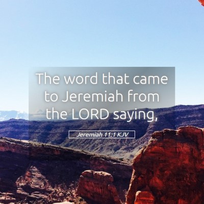 Picture 05 - Jeremiah 11:1 KJV - The word that came to Jeremiah from the LORD - Bible Verse Picture
