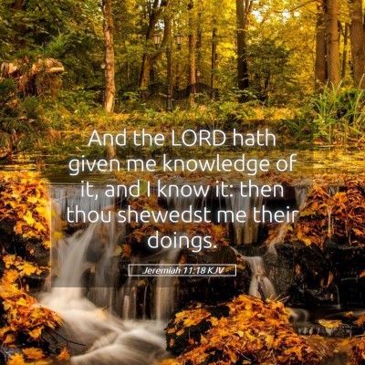 Picture 05 - Jeremiah 11:18 KJV - And the LORD hath given me knowledge of it, and I - Bible Verse Picture
