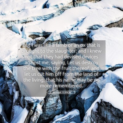 Picture 05 - Jeremiah 11:19 KJV - But I was like a lamb or an ox that is brought to - Bible Verse Picture