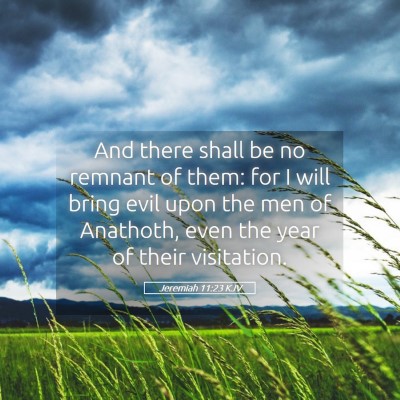 Picture 05 - Jeremiah 11:23 KJV - And there shall be no remnant of them: for I will - Bible Verse Picture