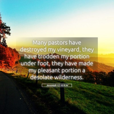 Picture 05 - Jeremiah 12:10 KJV - Many pastors have destroyed my vineyard, they - Bible Verse Picture