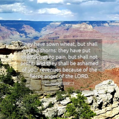 Picture 05 - Jeremiah 12:13 KJV - They have sown wheat, but shall reap thorns: they - Bible Verse Picture