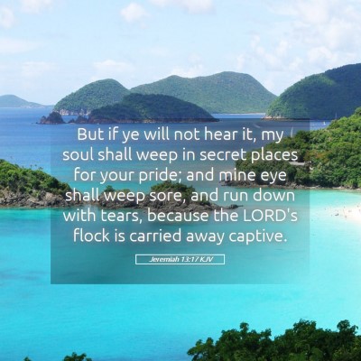 Picture 05 - Jeremiah 13:17 KJV - But if ye will not hear it, my soul shall weep in - Bible Verse Picture