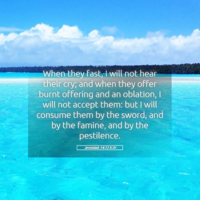 Picture 05 - Jeremiah 14:12 KJV - When they fast, I will not hear their cry; and - Bible Verse Picture