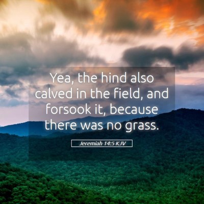 Picture 05 - Jeremiah 14:5 KJV - Yea, the hind also calved in the field, and - Bible Verse Picture