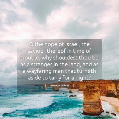 Picture 05 - Jeremiah 14:8 KJV - O the hope of Israel, the saviour thereof in time - Bible Verse Picture