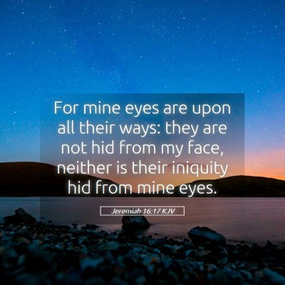 Picture 05 - Jeremiah 16:17 KJV - For mine eyes are upon all their ways: they are - Bible Verse Picture
