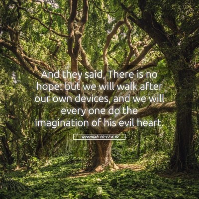 Picture 05 - Jeremiah 18:12 KJV - And they said, There is no hope: but we will walk - Bible Verse Picture