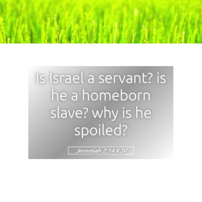 Picture 05 - Jeremiah 2:14 KJV - Is Israel a servant? is he a homeborn slave? why - Bible Verse Picture