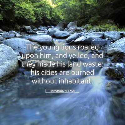 Picture 05 - Jeremiah 2:15 KJV - The young lions roared upon him, and yelled, and - Bible Verse Picture