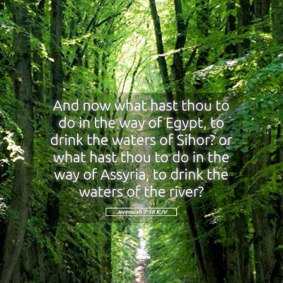 Picture 05 - Jeremiah 2:18 KJV - And now what hast thou to do in the way of Egypt, - Bible Verse Picture