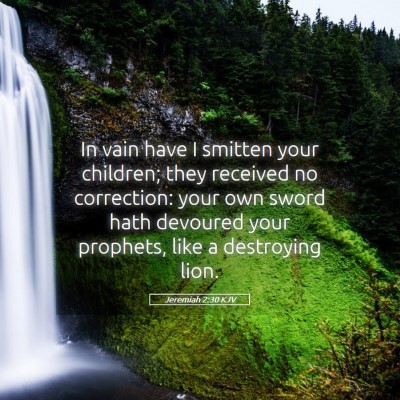 Picture 05 - Jeremiah 2:30 KJV - In vain have I smitten your children; they - Bible Verse Picture