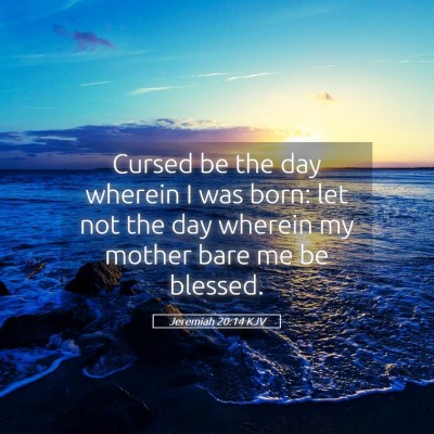 Picture 05 - Jeremiah 20:14 KJV - Cursed be the day wherein I was born: let not the - Bible Verse Picture